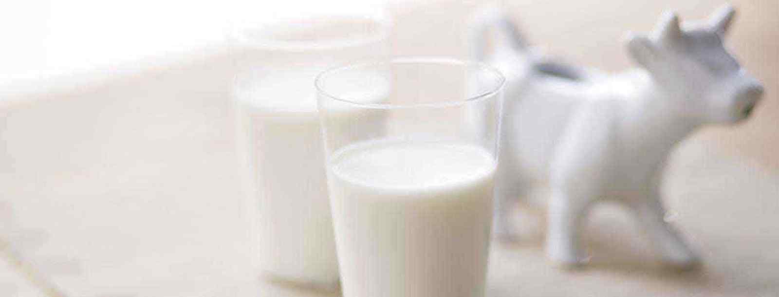脱脂牛奶和低脂牛奶的区别