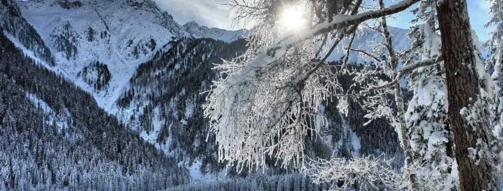 飞舞的白雪像什么 带来了什么