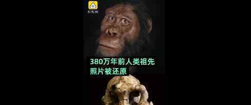 380万年前人类祖先长相复原 人类祖先长什么样