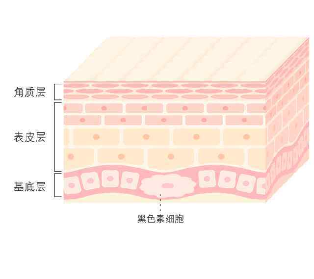 去斑护肤品 护肤品能祛斑？别想太多！解决脸上斑点的方法只有这些……