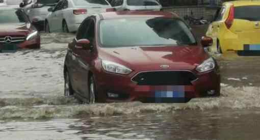 广州雨后路人当街捕鱼 目前广州采取了哪些措施