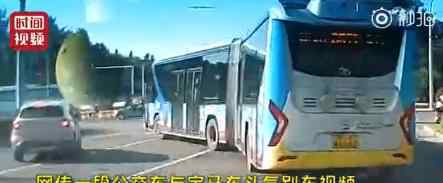 北京公交就别车事件致歉 致歉内容是什么