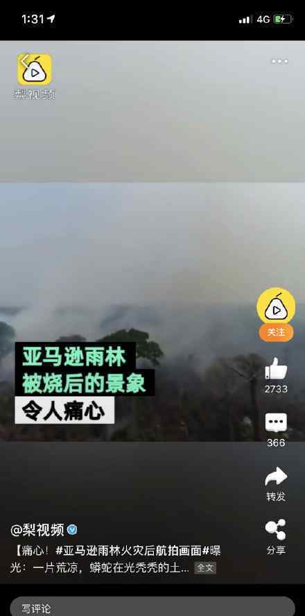 亚马逊雨林火灾后航拍画面 亚马逊现在变成什么样了（图）