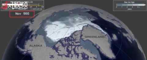 2050年北极海冰可能完全消失意味着什么北极的动物怎么办?