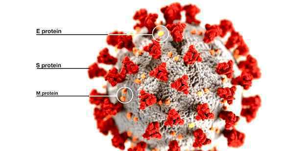 世界首个新冠疫苗人体临床数据 陈薇院士团队研制，登上《柳叶刀》