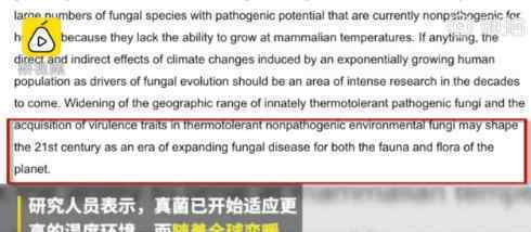 气候变暖或致超级真菌出现 具体什么情况