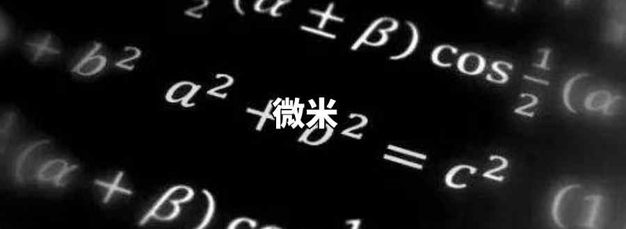 微米用字母表示