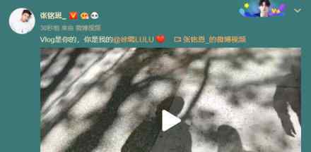 徐璐张铭恩公布恋情 徐璐张铭恩晒Vlog说了什么内容