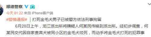 打死金毛犬被刑拘 事情经过是怎样的谁有理