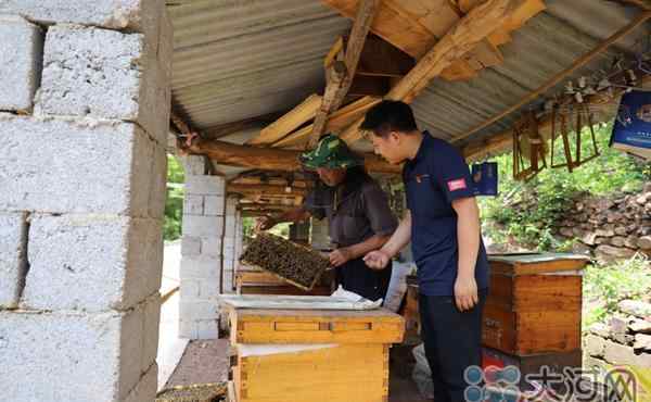 米立方团购 点赞！鲁山这个驻村书记帮蜂农做大做强 组织团购销售蜂蜜
