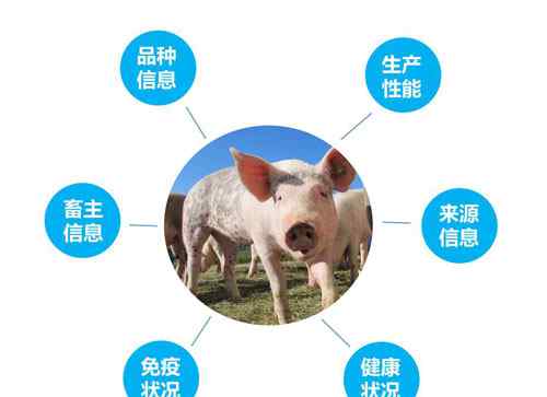 养猪技术软件 RFID技术在养猪业的应用