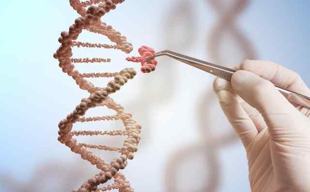 基因工程技术 开脑洞——基因改造技术可能产生的三个宏观后果