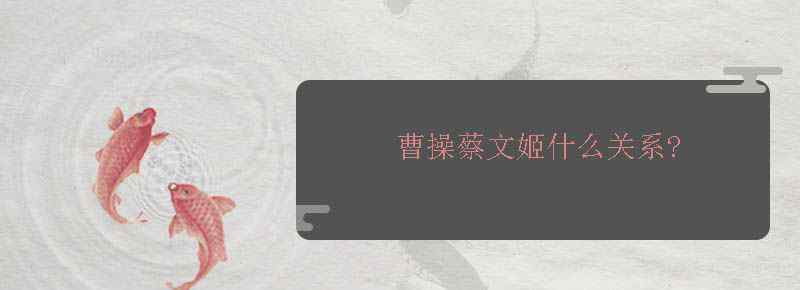 曹操蔡文姬什么关系