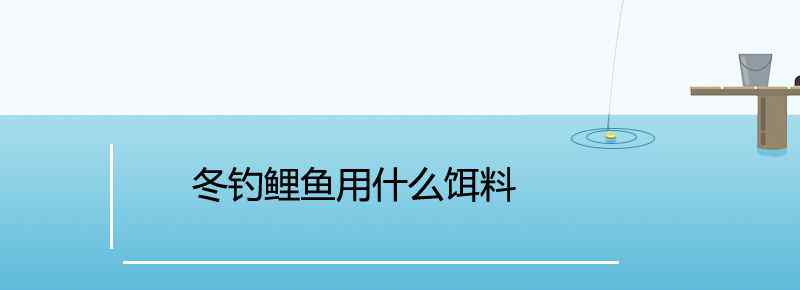 冬钓鲤鱼用什么饵料