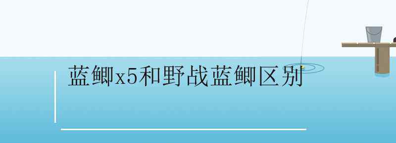 蓝鲫x5和野战蓝鲫区别