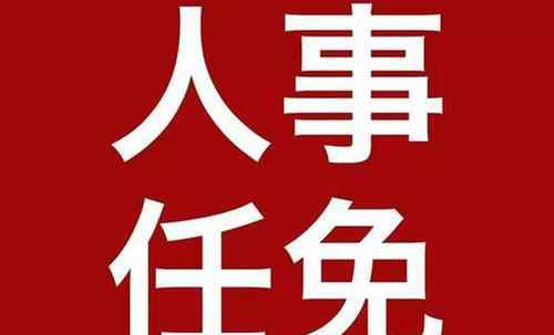 石泉县人民政府网 石泉县人民政府人事任免