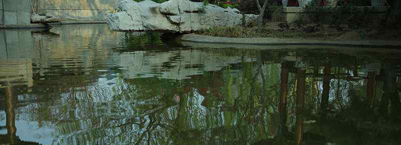 井底村旅游景点