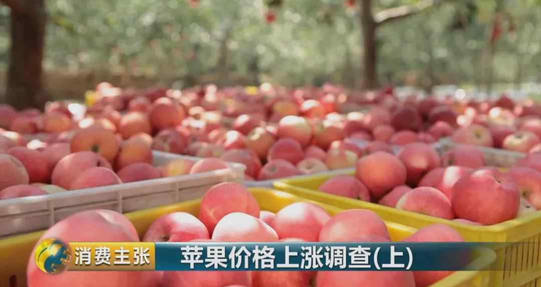 陕西冷库苹果价格 从每斤4元到19.9元，苹果价格为何一路上涨？