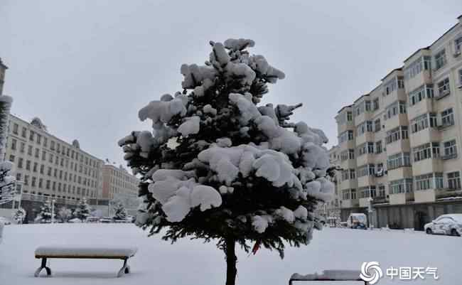 内蒙古呼伦贝尔四月飘雪 对此大家怎么看？