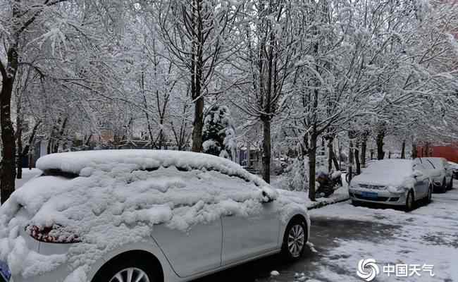 内蒙古呼伦贝尔四月飘雪 具体是啥情况?