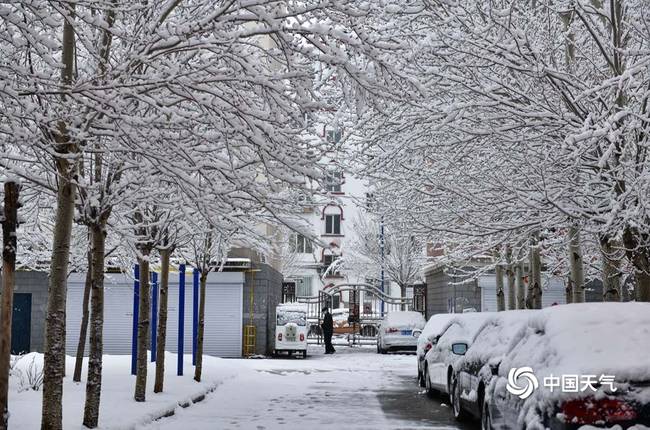 内蒙古呼伦贝尔四月飘雪 事情经过真相揭秘！