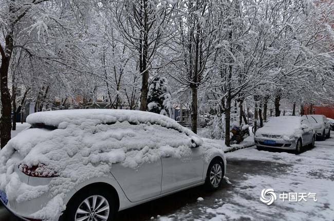 内蒙古呼伦贝尔四月飘雪 事情经过真相揭秘！