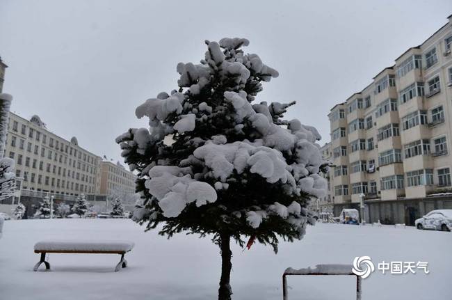 内蒙古呼伦贝尔四月飘雪 事情经过真相揭秘！