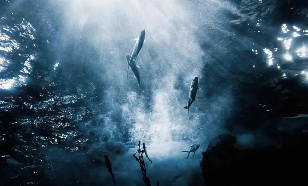 海底9万米有多恐怖 海底一万米到底有多恐怖？
