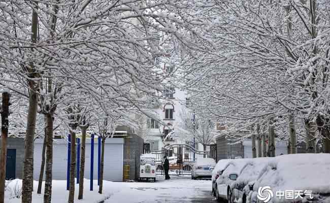 内蒙古呼伦贝尔四月飘雪 具体是什么情况？