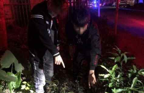 两男子深夜尾随女子到偏僻处 突然脱下衣服全程被拍究竟是怎么回事？