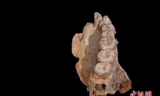 这个女孩是9万年前史前人类＂混血儿＂