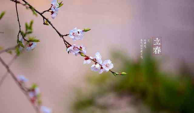 春节在立春后面有啥说法 立春年前好还是年后好