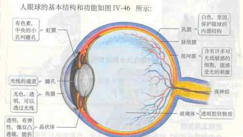 双眼皮修复价格 双眼皮修复的价格一般是多少?会不会很贵?