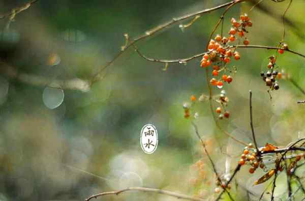 雨水节气的植物 雨水节气有什么动物