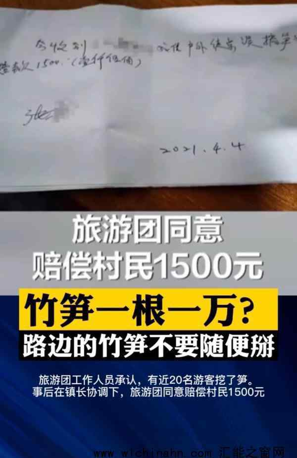 游客挖竹笋遭村民索赔1根1万 究竟发生了什么