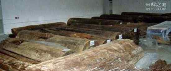 为什么古墓里有蟒蛇 千年东汉古墓挖出180岁巨蟒图片