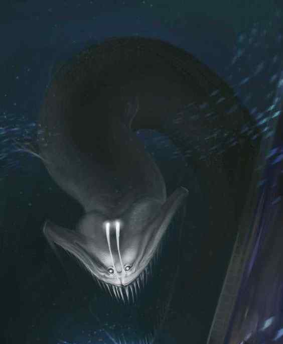 海洋探秘大海蛇之谜 大海蛇吃人的故事 可能是巨型鳗鱼