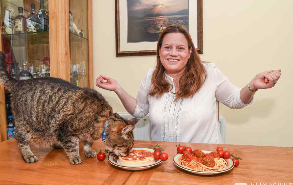 挑食猫只吃意面和披萨