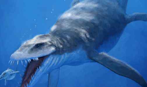 史前十大巨兽都有哪些：巨齿鲨、滑齿龙、龙王鲸、巨型黄貂鱼