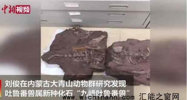 中国发现2.5亿年前九峰吐鲁番兽 究竟是怎么发现