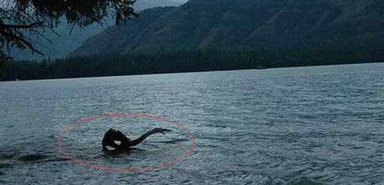 喀纳斯湖水怪真相 15米巨型哲罗鲑图片 世界十大凶猛淡水鱼