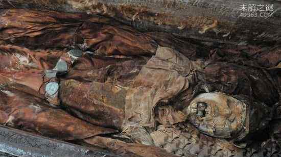 为什么古墓里有蟒蛇 千年东汉古墓挖出180岁巨蟒图片