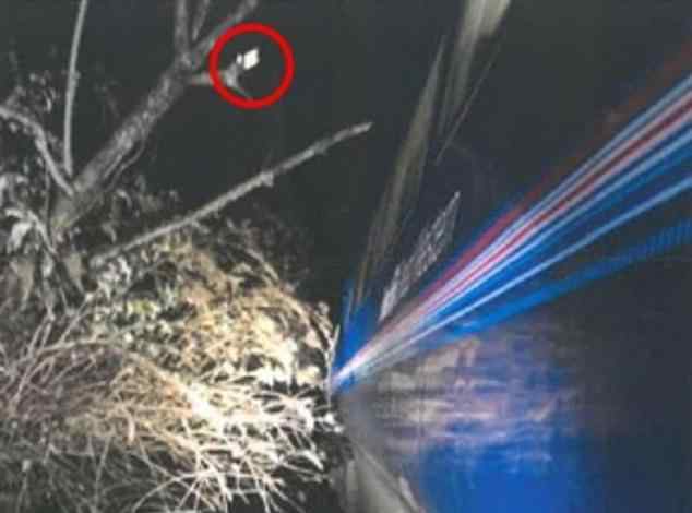 女子探头出火车窗外撞树枝不幸身亡