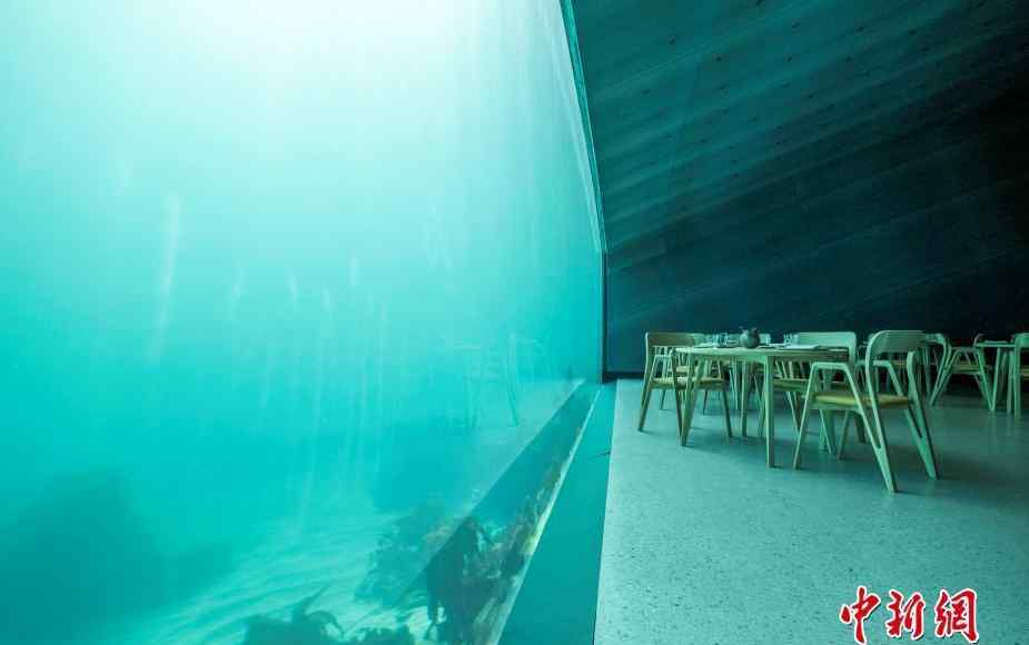 欧洲首家半水下餐厅 海洋餐厅”水下“