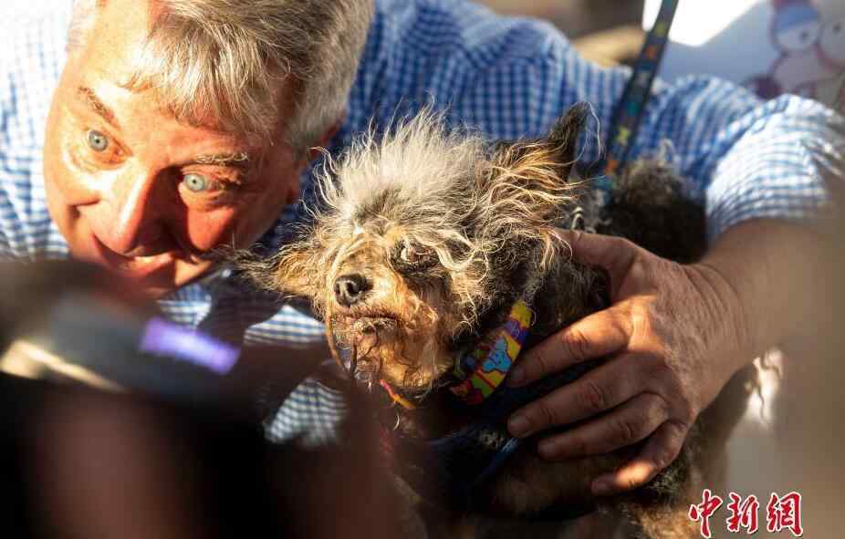 世界最丑狗狗大赛举行 狗狗比丑大赛冠军图片