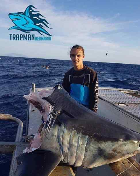 澳大利亚男子钓鱼捞到100公斤重鲨鱼头