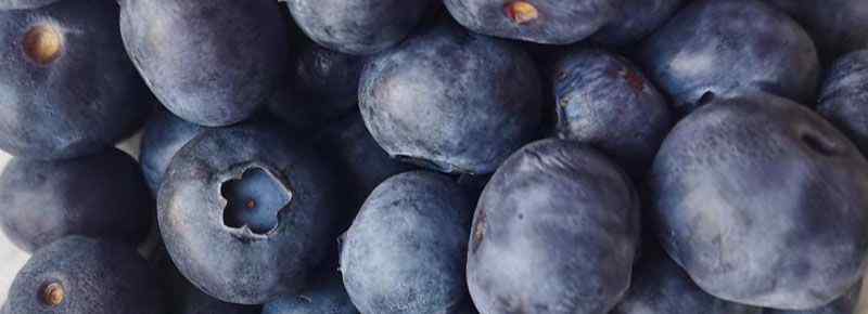 蓝莓怎么洗才干净蓝莓带皮吃吗