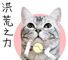 猫生小猫要怎么处理 大夫，我家猫要生了，怎个办？