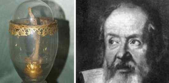 国外古怪名人器官展博物馆 爱因斯坦大脑 肖邦心脏 伽利略手指