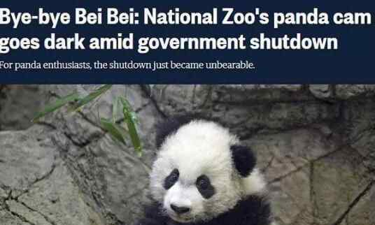 美熊猫直播被掐断 究竟是怎么回事？
